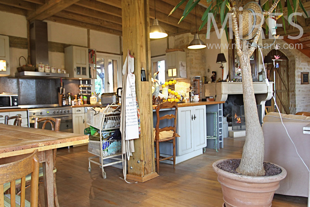Warm and wooden ambiance living room. C0972