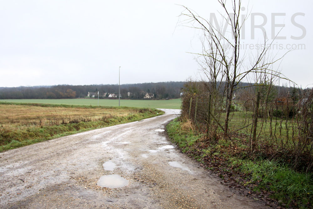 Verdure et sérénité. C0972