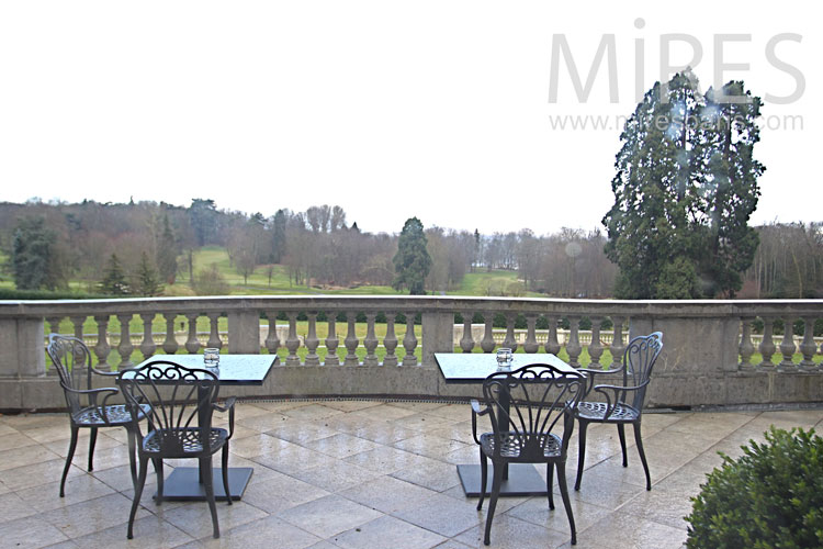 C0981 – Terrasse avec vue sur le parc