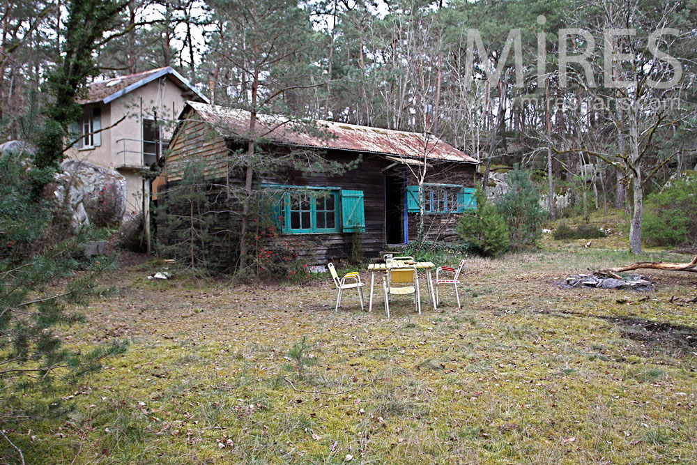 C1005 – La cabane dans la forêt