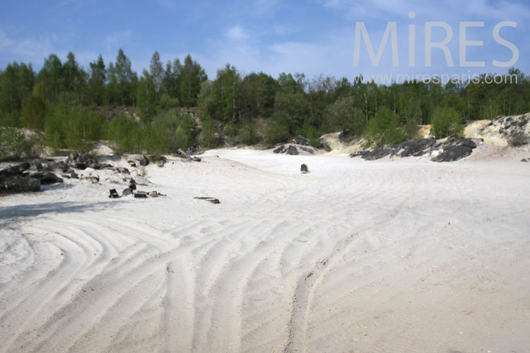 C1013 – Plage de sable en forêt