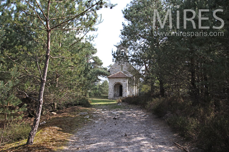 C1013 – Old stones in forest