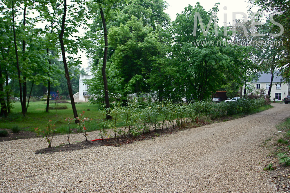 C1018 – Main driveway at the entrance