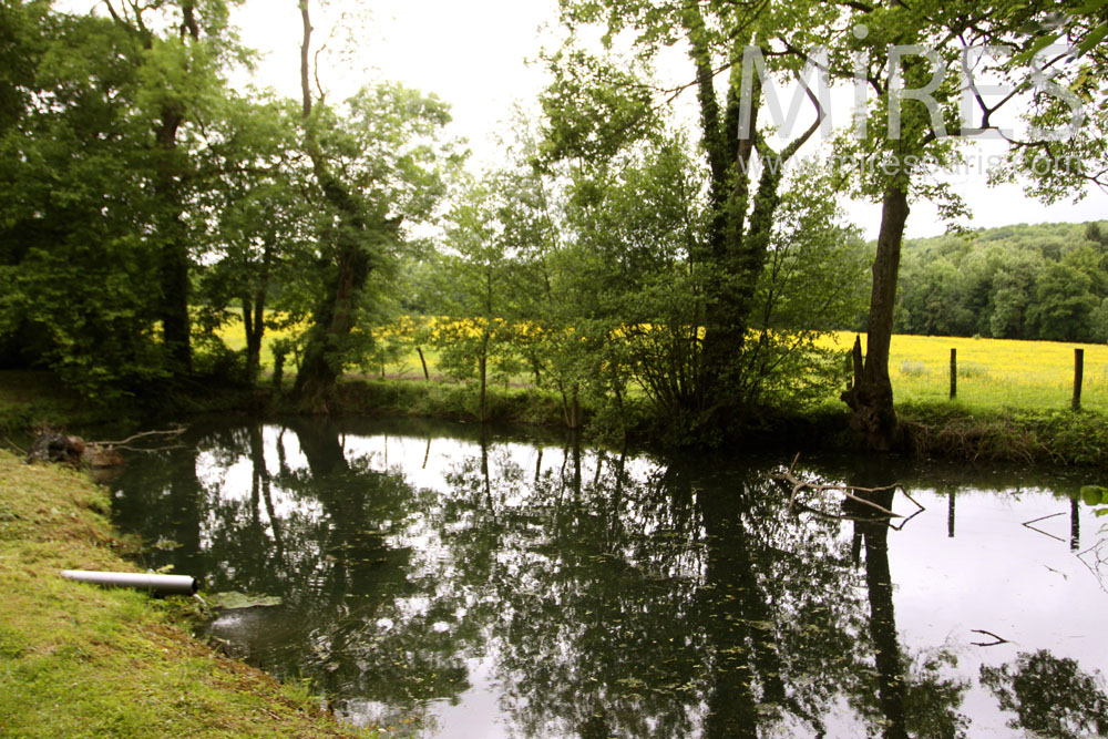 Petit étang sans baignade. C1028