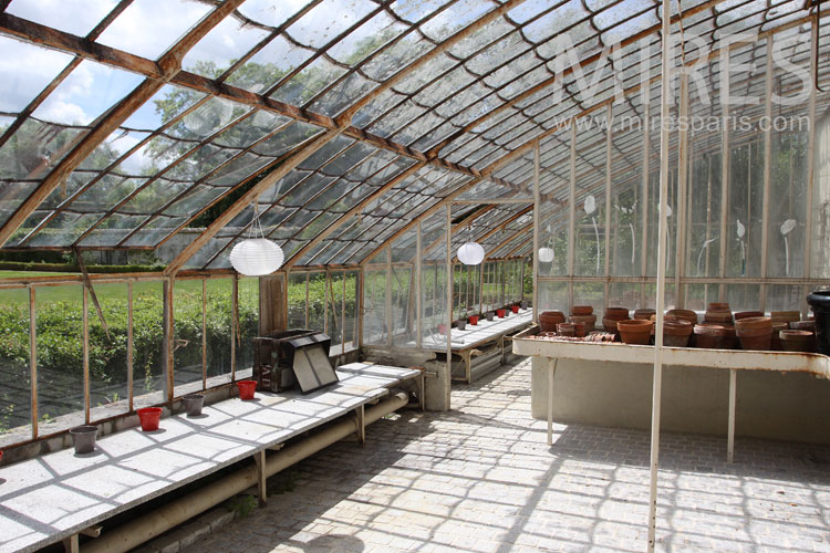 C1031 – Large and vintage greenhouses c1031