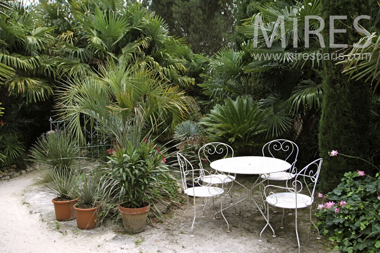 C1042 – Jardin pour le thé