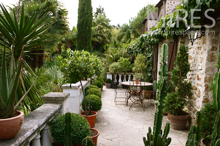 C1042 – Beautiful lush terrace
