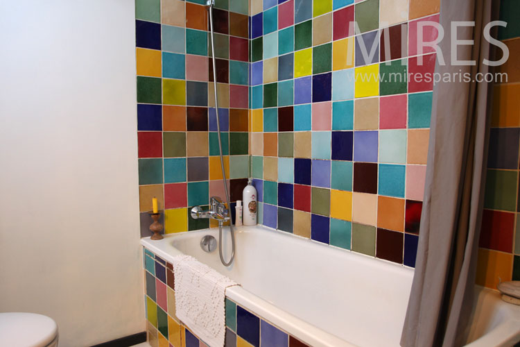 C1048 – Colorful bathroom c1048