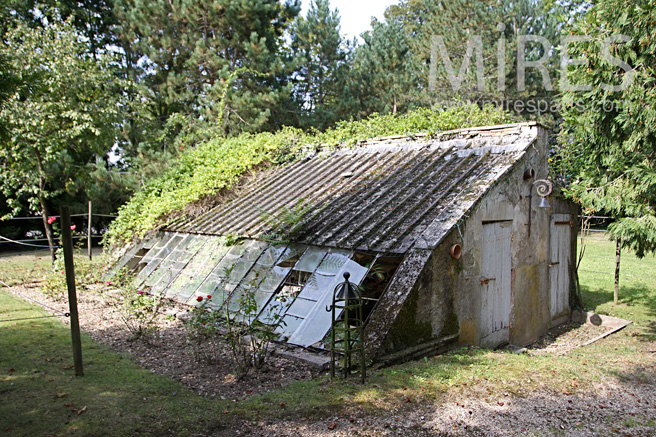 C1075 – Ancien garage, prit dans la nature