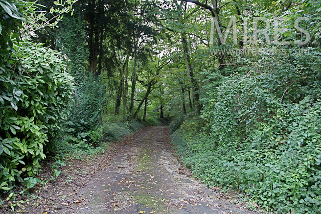 C1087 – Road in the countryside