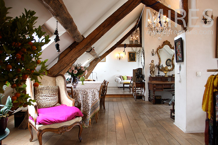 C1128 – Apartment under the roof