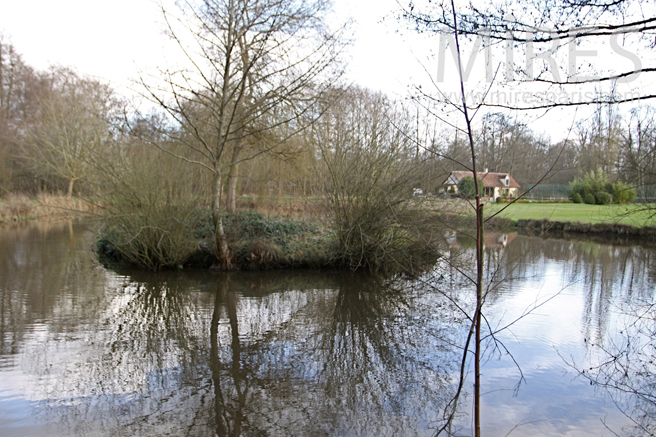 Etang avec son île déserte. C0231
