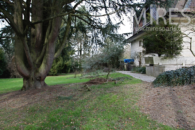 Jardin apprivoisé. C1157
