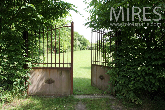 C0131 – Endless meadow