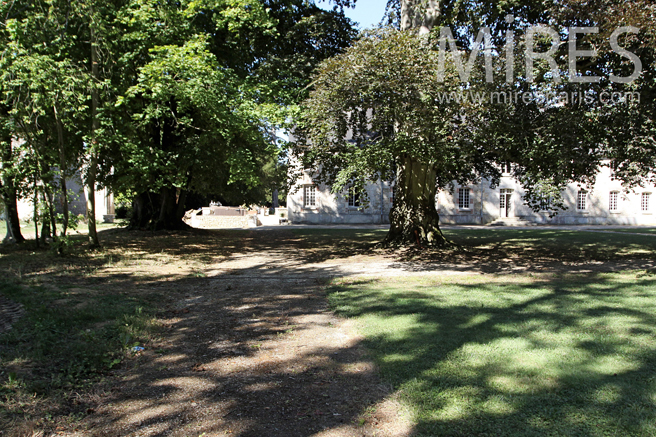 C1225 – Grand parc entouré d’arbre