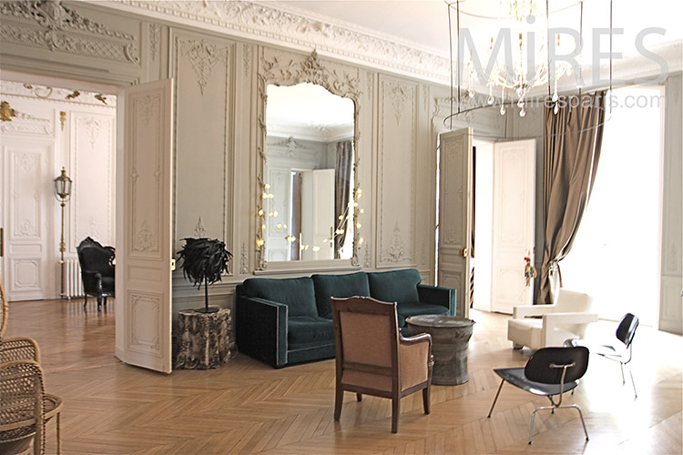 Classic and beautiful Parisian apartment. C1237