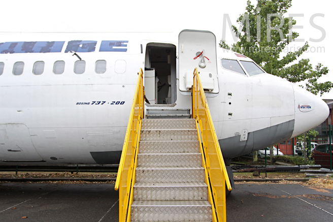 C1239 – Plane