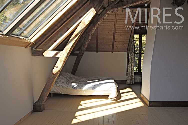 C1249 – Attic