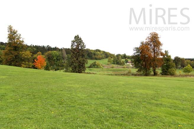 C1251 – Pleine vue sur le parc