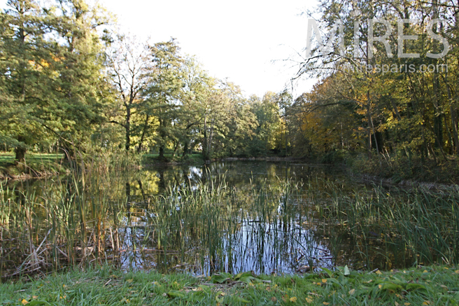 C1263 – Forestry and water plan
