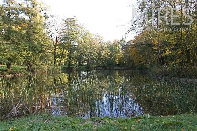 C1263 – Domaine forestier et plan d’eau