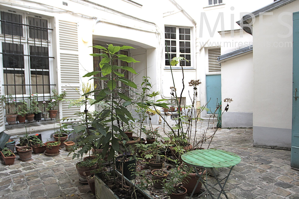 C1278 – Small paved courtyard