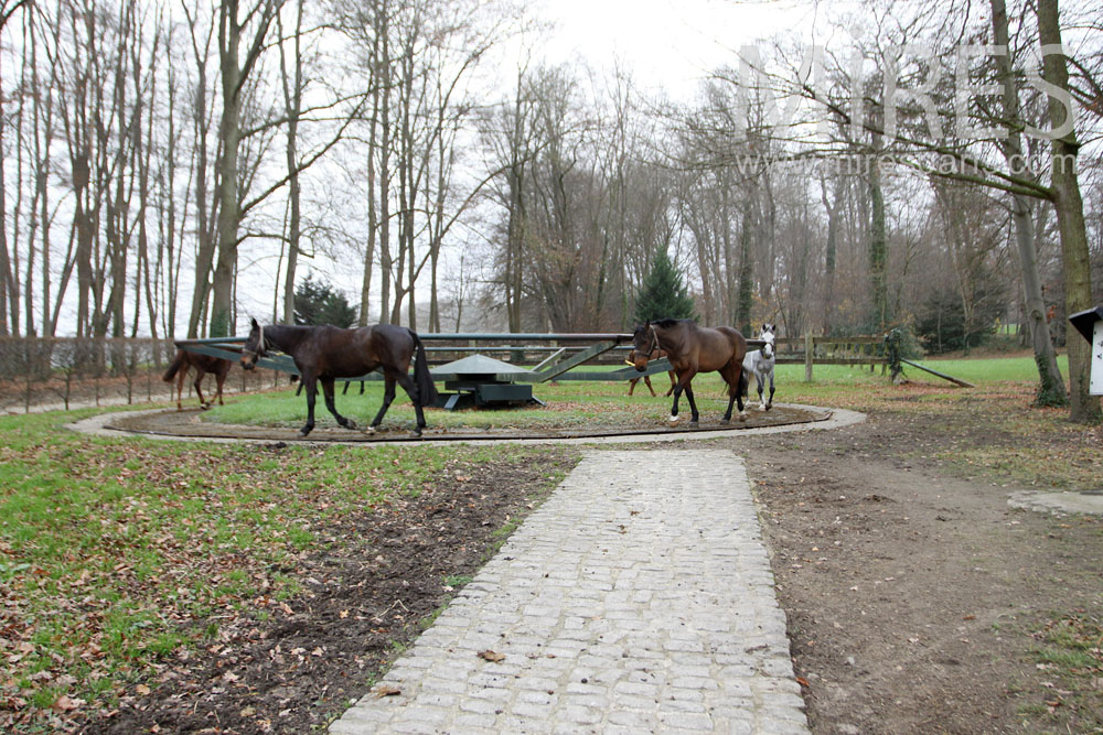 C1283 – Stables and its merry-go-round