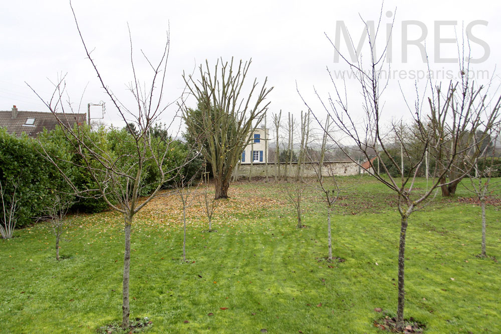 C1284 – Orchard’s garden