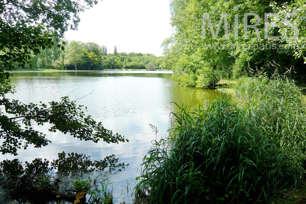 C1305 – Vues sur le parc et l’étang