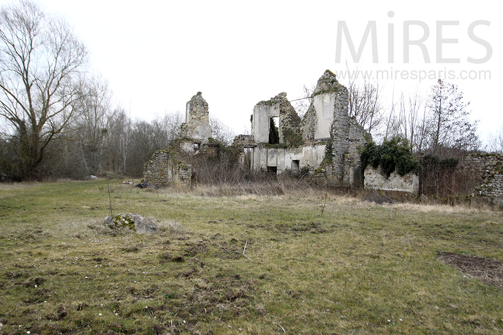 C1310 – Ruine désespérée