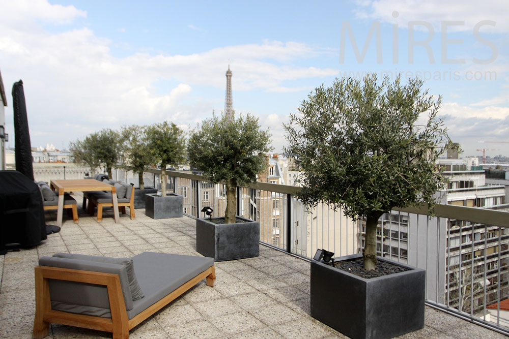 C1327 – Terrasse familiale avec vue sur Paris