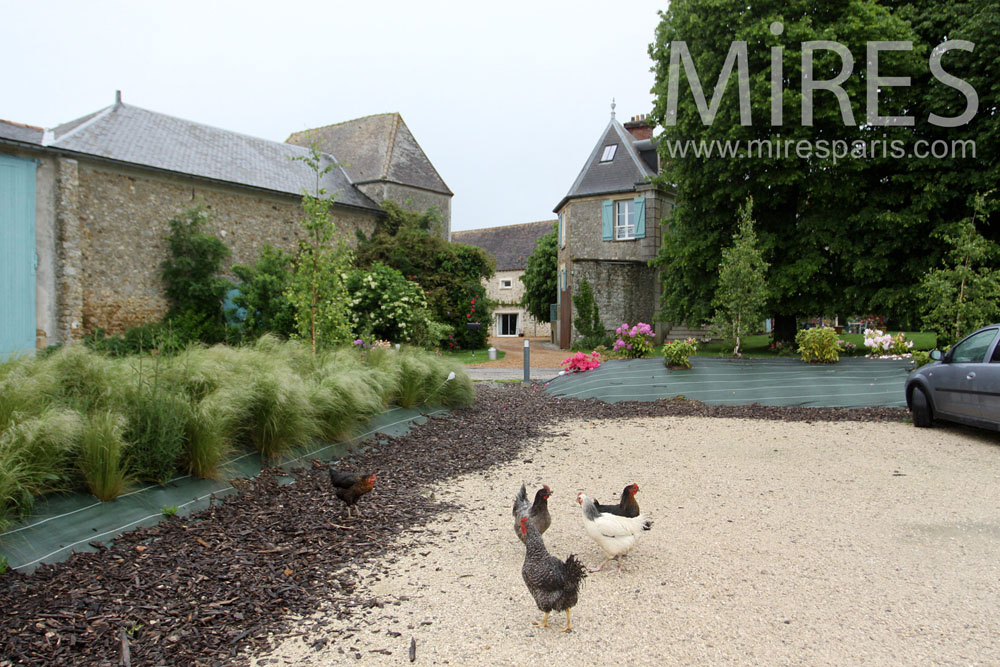 C1338 – Farmhouse courtyard