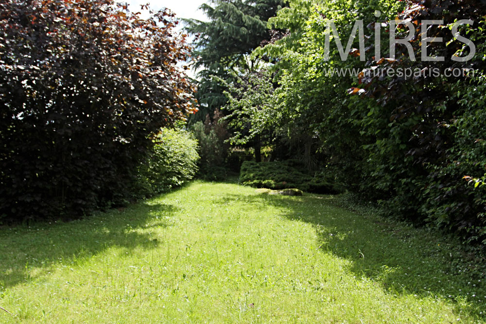 Jardin arrière. C1350