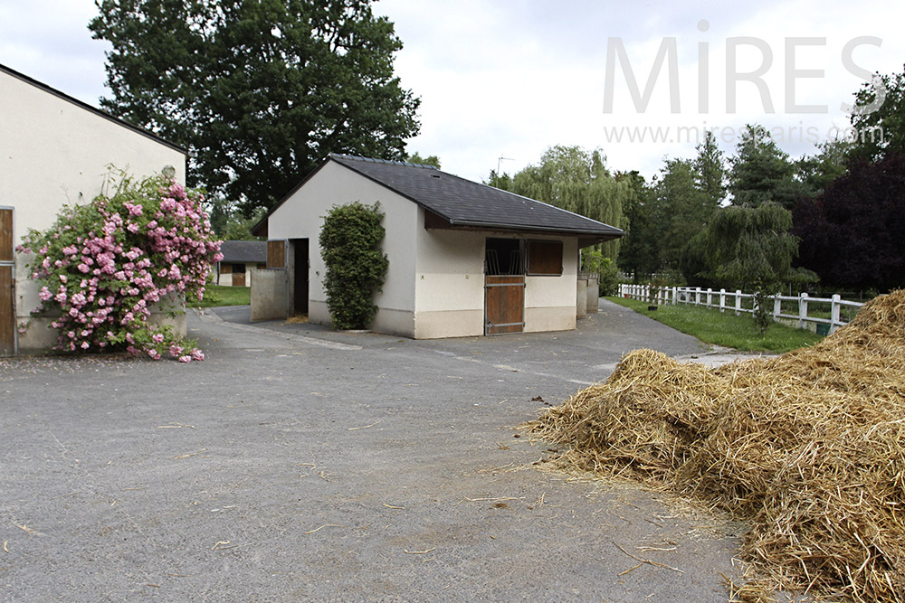 Straw and barn. C1352