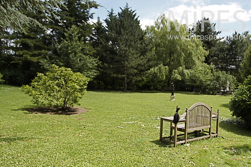 Jardin romantique. C1355