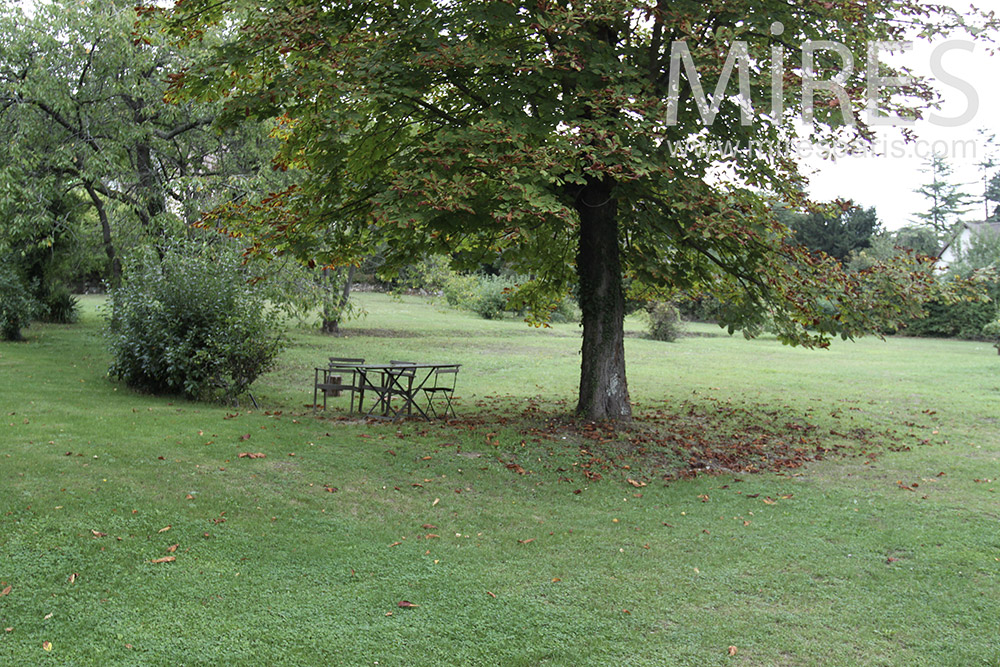 Nice big park. c1372