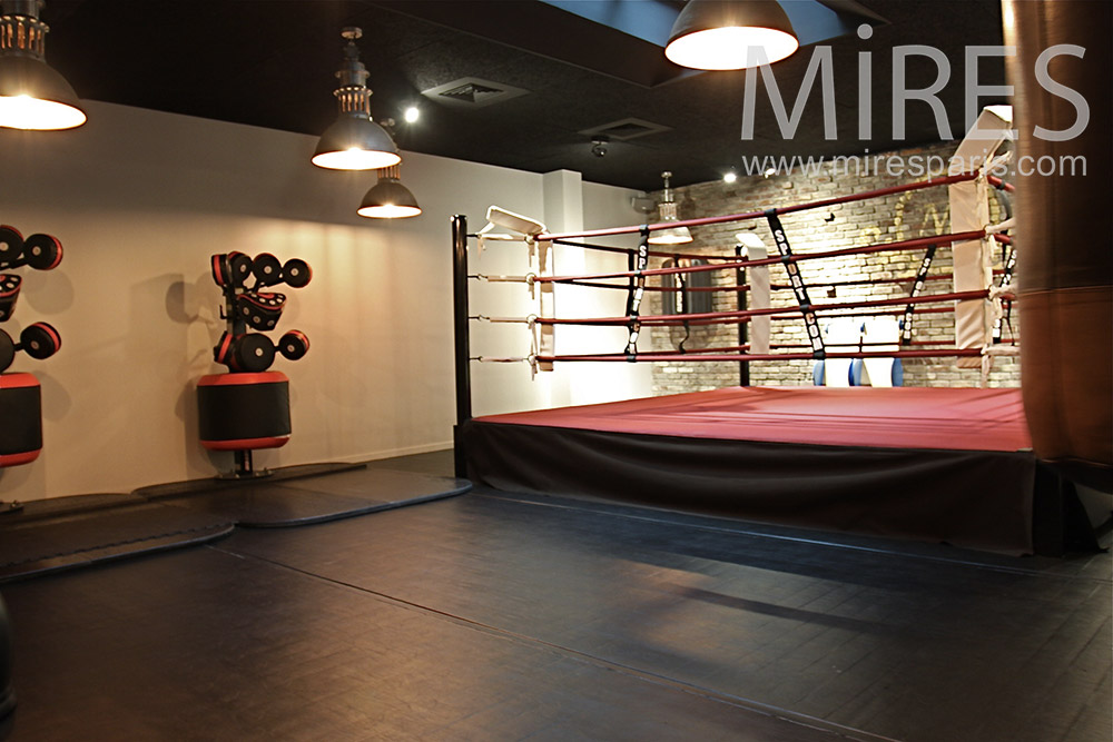 C1400 – Salle de boxe moderne