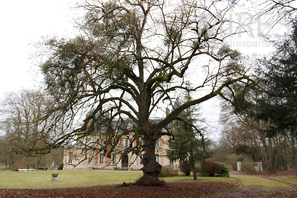 C1435 – Parc autour du château