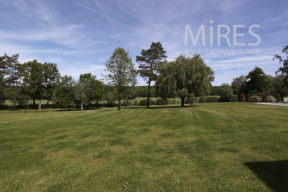 Parc paisible. C1463