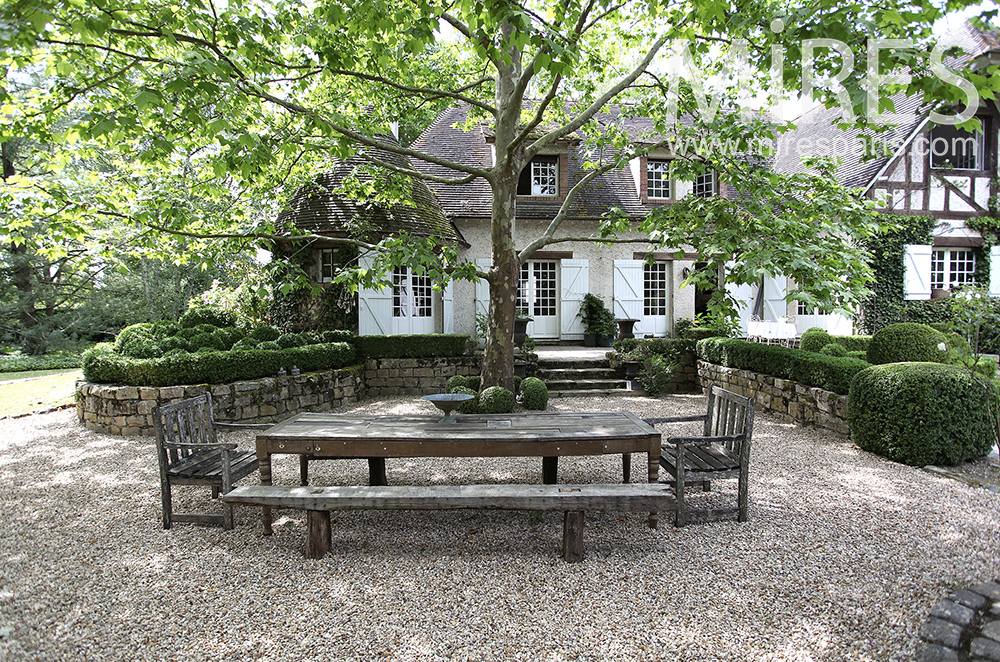 C1477 – Terrace with trees