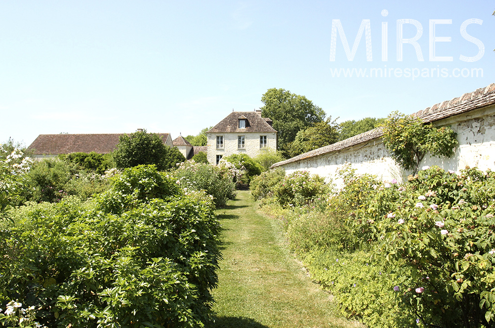 C1310 – Garden with trees