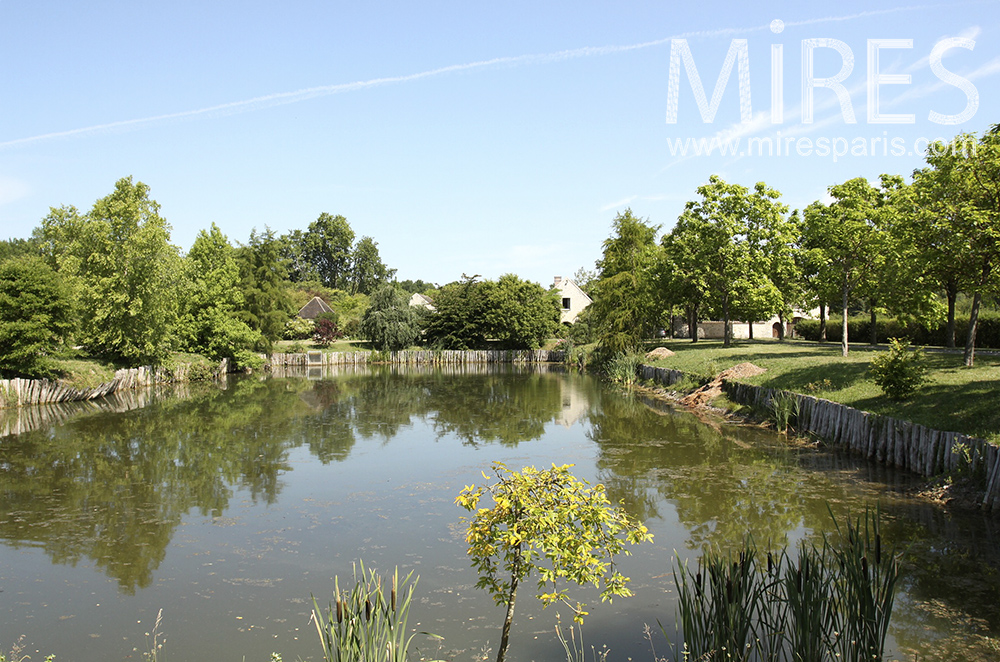 C1310 – Lake and pond