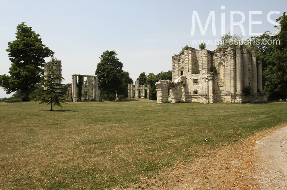 C1481 – Larges ruines dans un parc