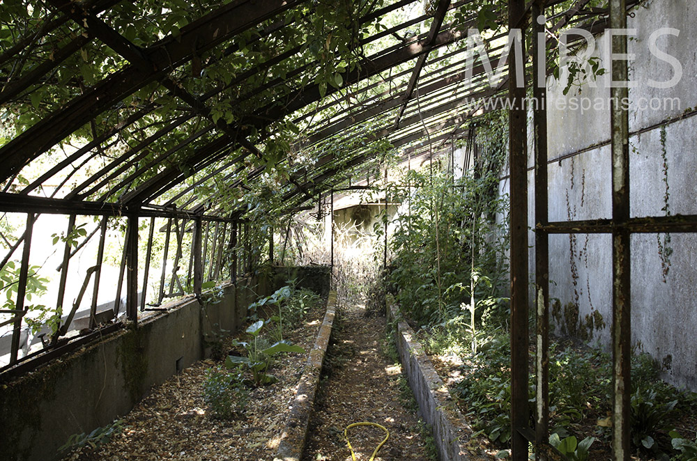 Vintage Greenhouse. c1482