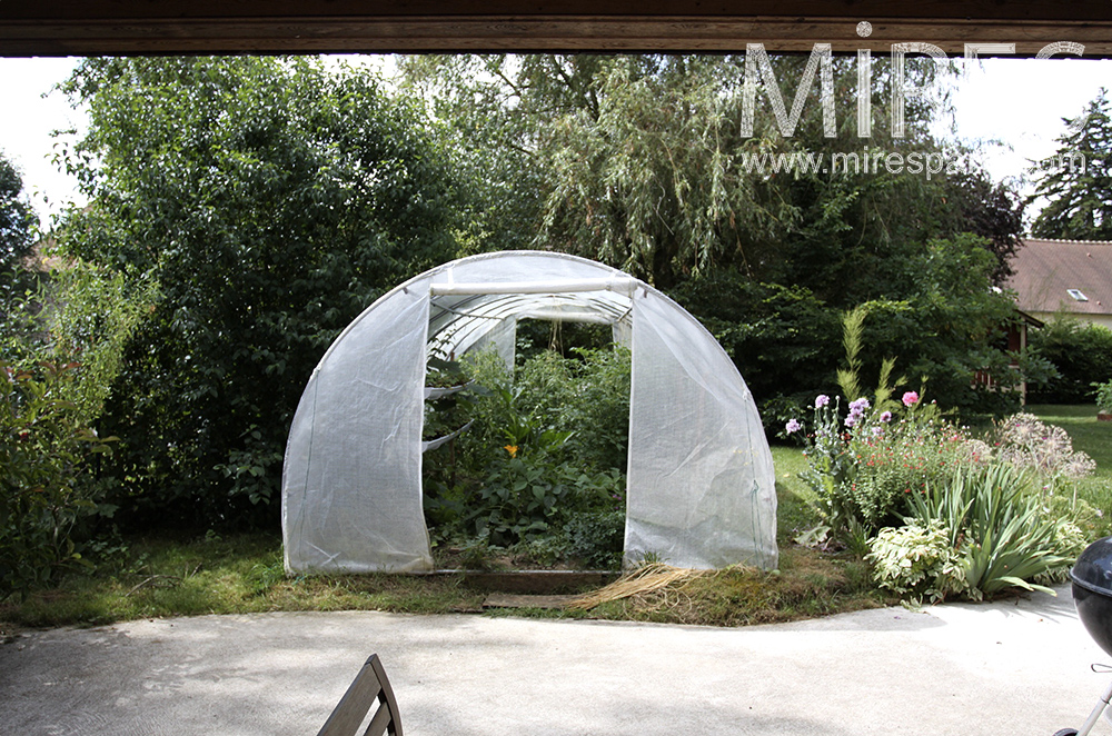 C1485 – Miniature greenhouse