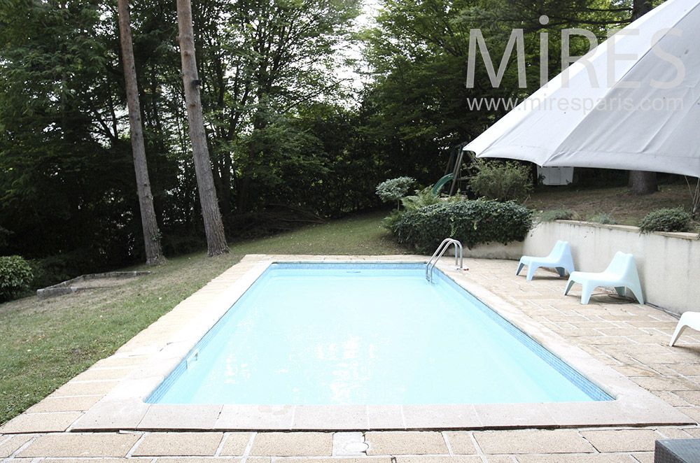 Pool under the trees. c1488