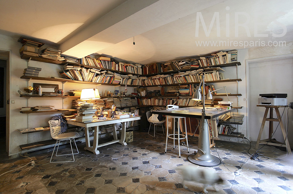 C0028 – Bureau littéraire à la cave