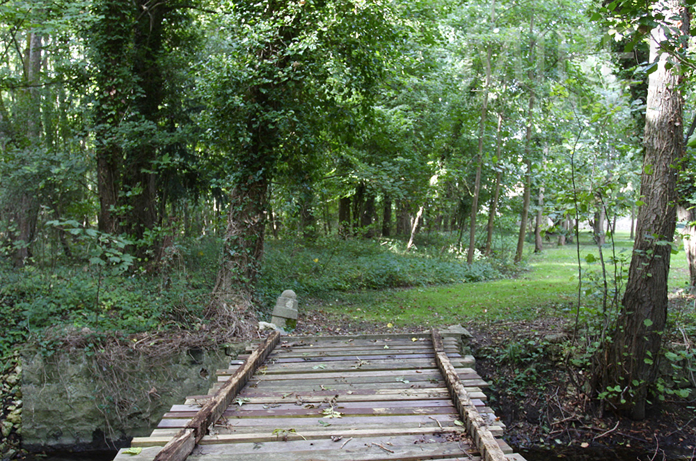 C1495 – Romantic undergrowth