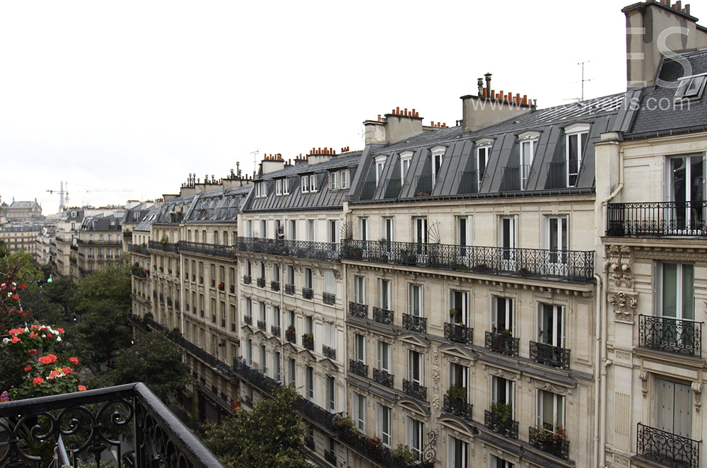 C1505 – Parisian perspective
