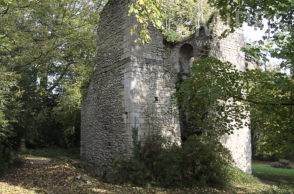 C1508 – Ruine végétalisée